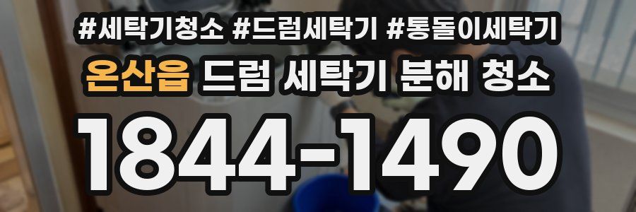 온산읍 드럼 세탁기 분해 청소