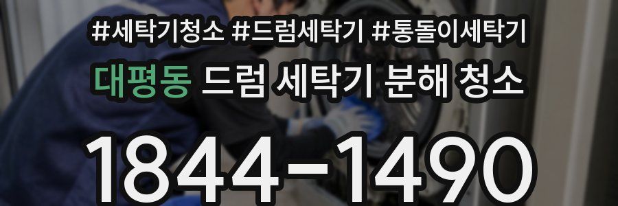 대평동 드럼 세탁기 분해 청소