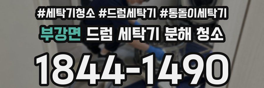 부강면 드럼 세탁기 분해 청소