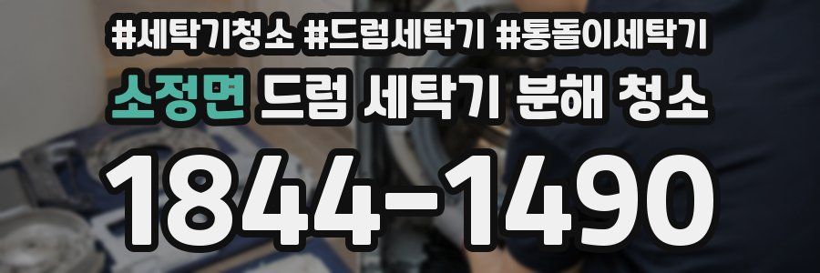 소정면 드럼 세탁기 분해 청소
