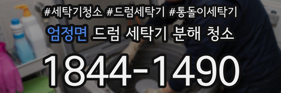 엄정면 드럼 세탁기 분해 청소