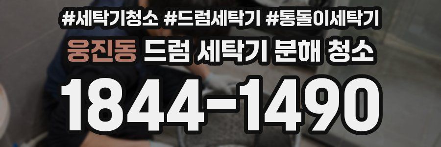 웅진동 드럼 세탁기 분해 청소