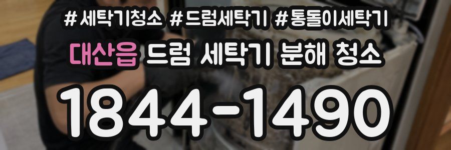대산읍 드럼 세탁기 분해 청소