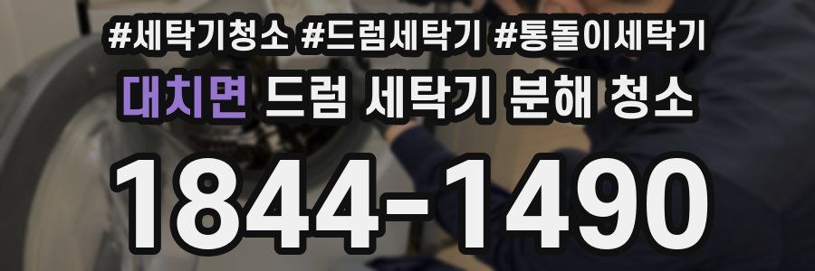 대치면 드럼 세탁기 분해 청소