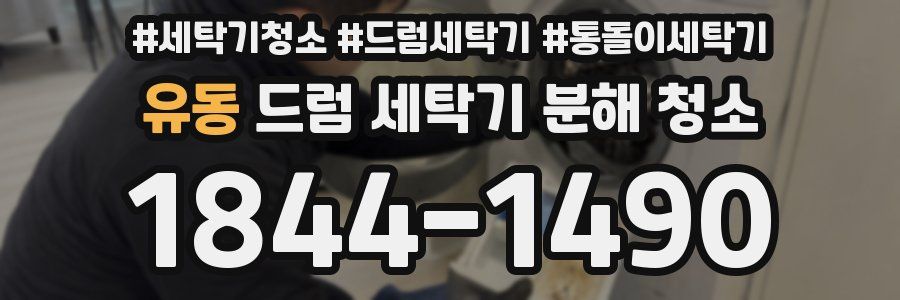 유동 드럼 세탁기 분해 청소