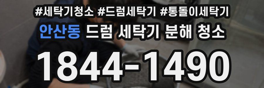 안산동 드럼 세탁기 분해 청소