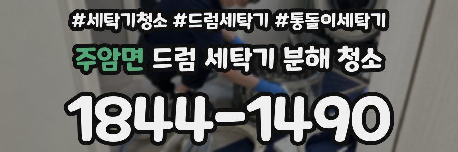 주암면 드럼 세탁기 분해 청소