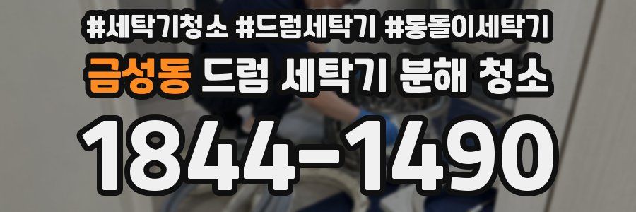 금성동 드럼 세탁기 분해 청소