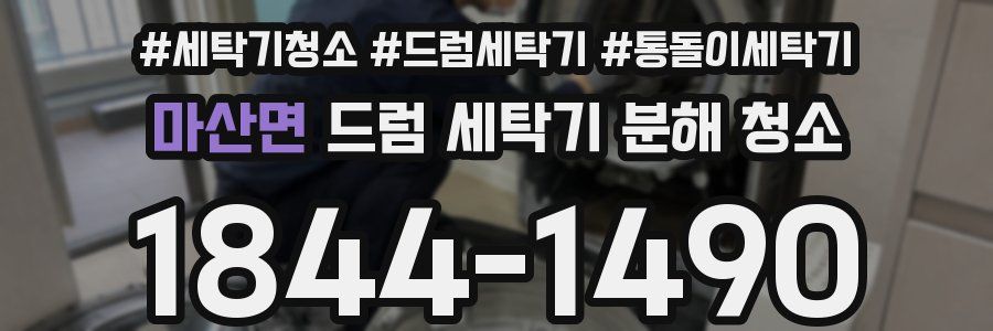 마산면 드럼 세탁기 분해 청소