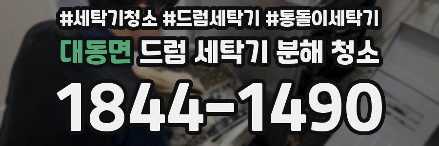대동면 드럼 세탁기 분해 청소