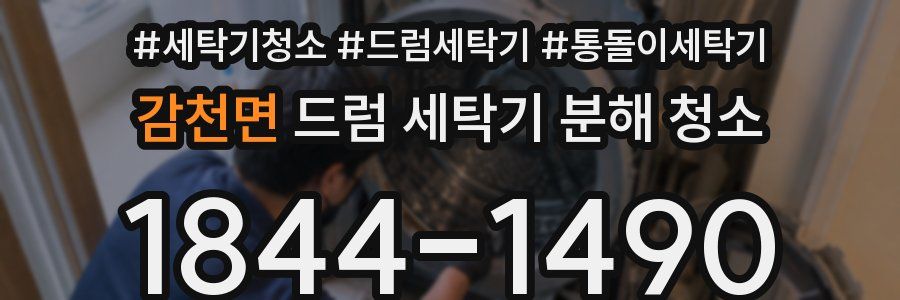 감천면 드럼 세탁기 분해 청소