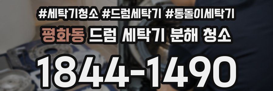 평화동 드럼 세탁기 분해 청소
