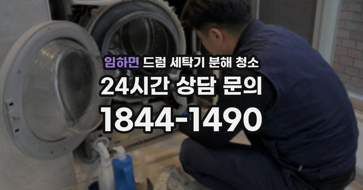 임하면 드럼 세탁기 분해 청소