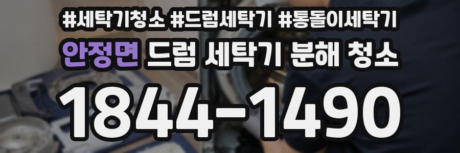 안정면 드럼 세탁기 분해 청소