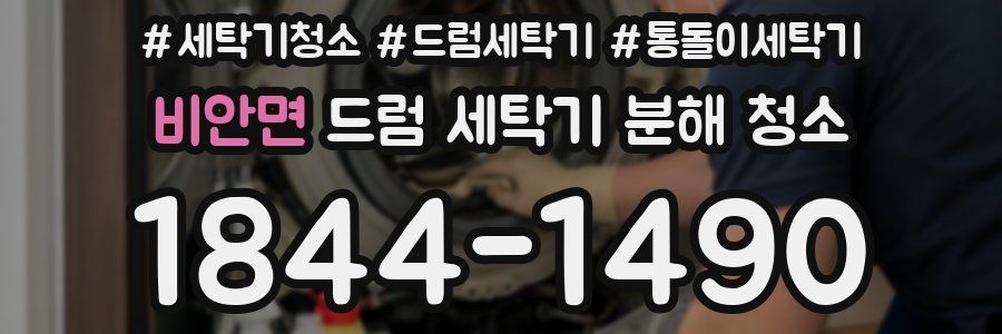 비안면 드럼 세탁기 분해 청소