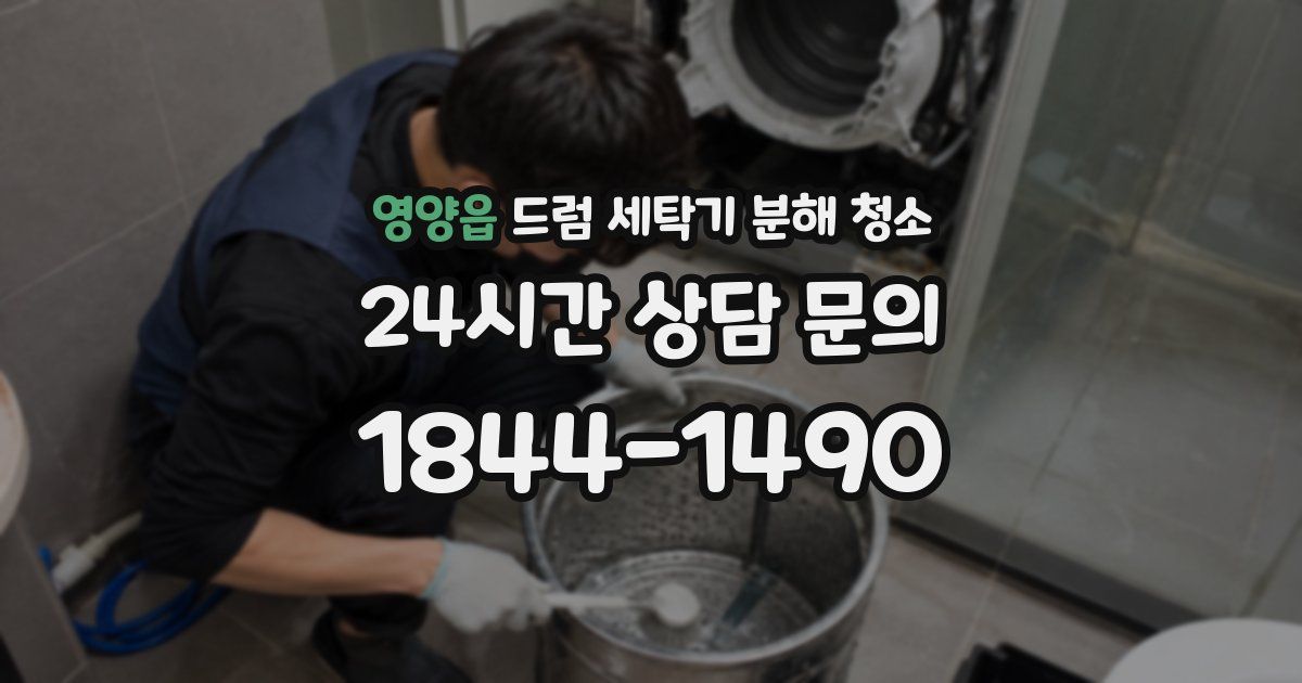 영양읍 드럼 세탁기 분해 청소