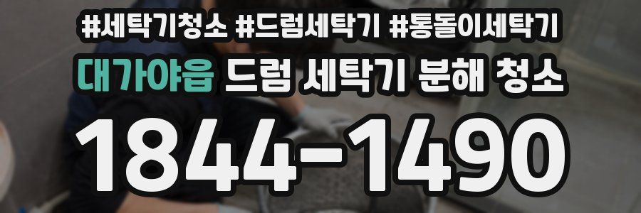 대가야읍 드럼 세탁기 분해 청소