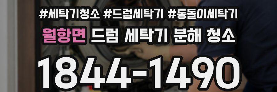 월항면 드럼 세탁기 분해 청소