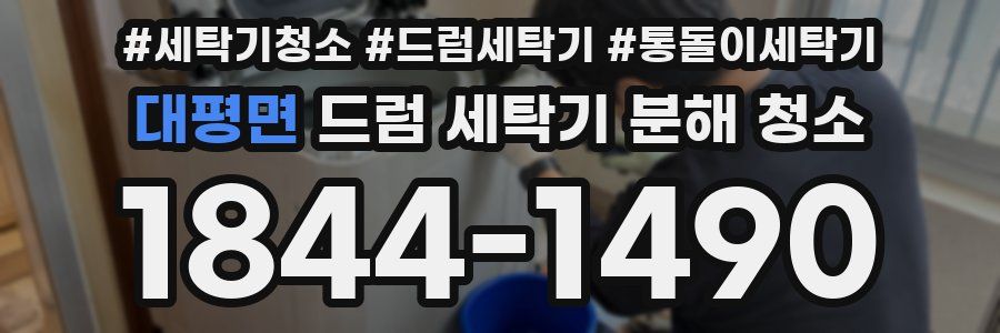 대평면 드럼 세탁기 분해 청소