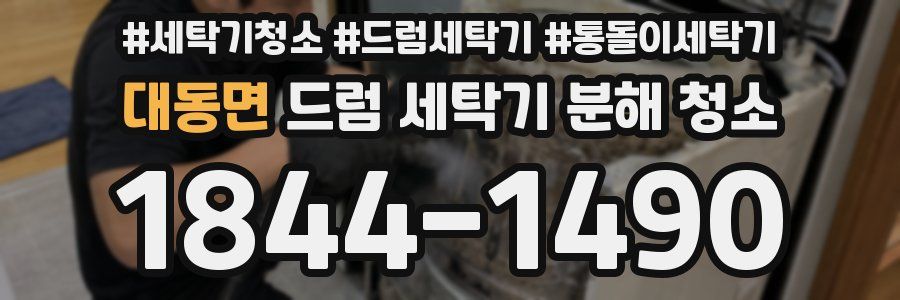 대동면 드럼 세탁기 분해 청소