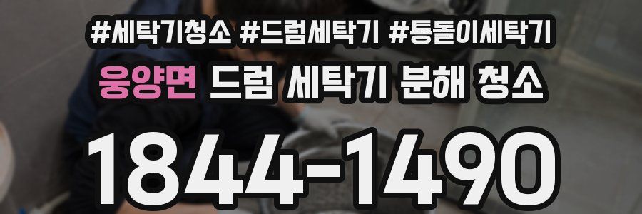 웅양면 드럼 세탁기 분해 청소