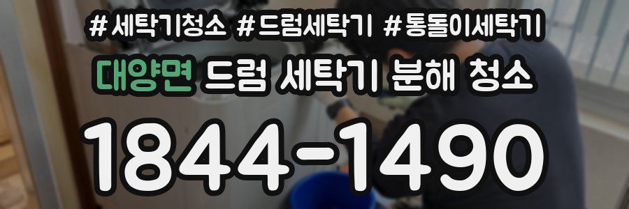 대양면 드럼 세탁기 분해 청소
