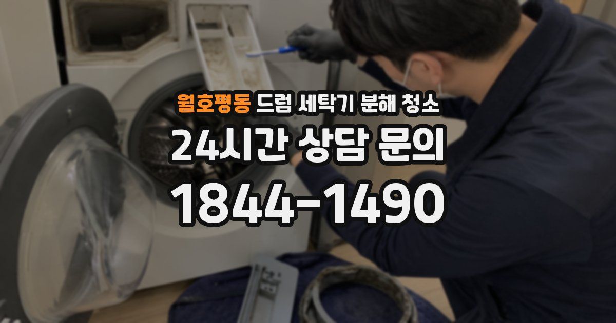 월호평동 드럼 세탁기 분해 청소