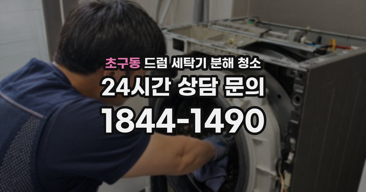 초구동 드럼 세탁기 분해 청소