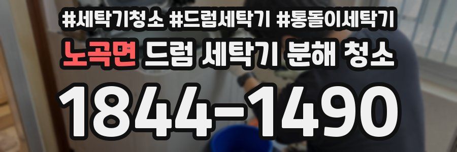 노곡면 드럼 세탁기 분해 청소