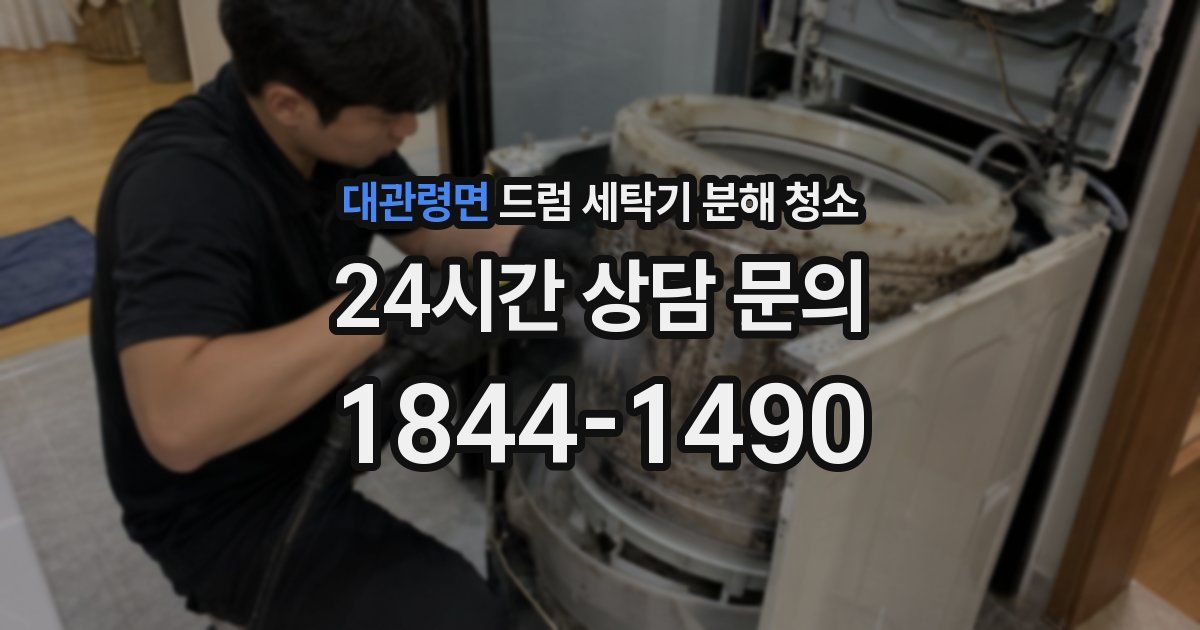 대관령면 드럼 세탁기 분해 청소