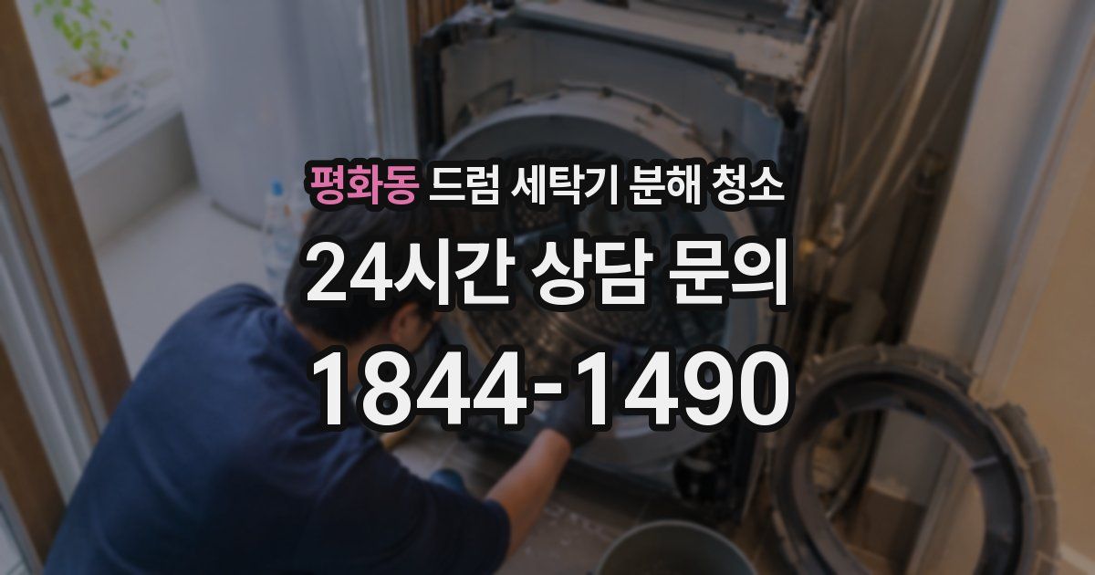 평화동 드럼 세탁기 분해 청소