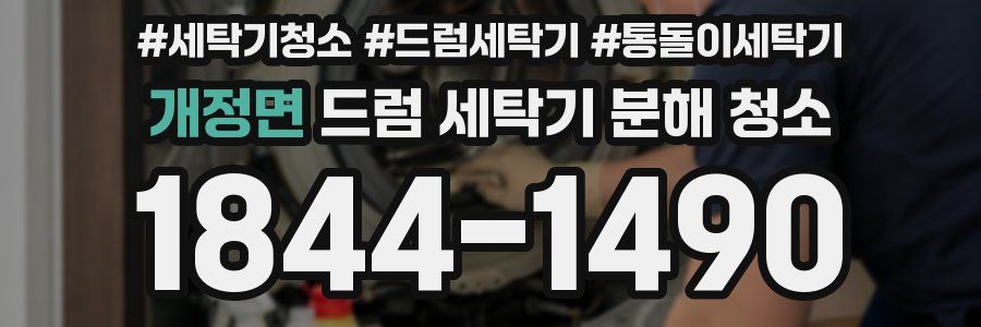개정면 드럼 세탁기 분해 청소