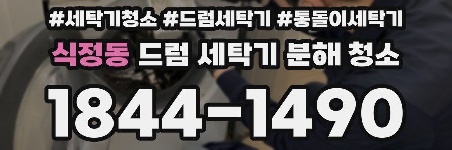 식정동 드럼 세탁기 분해 청소