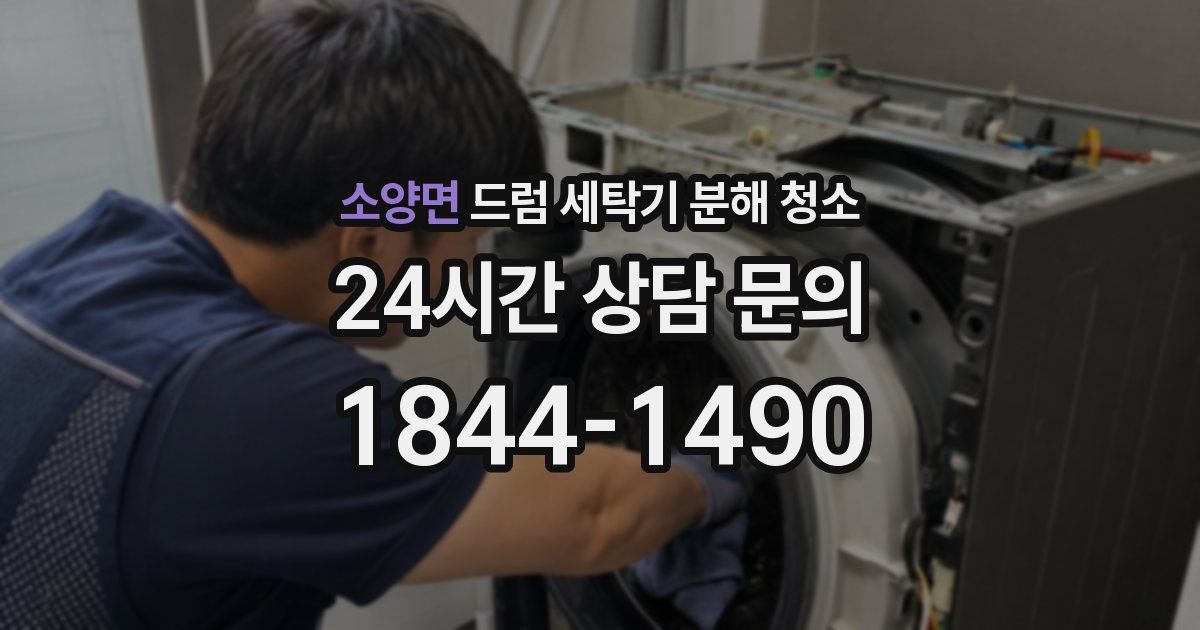 소양면 드럼 세탁기 분해 청소