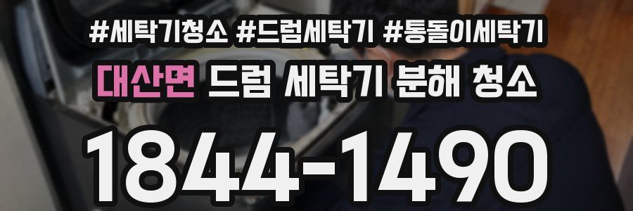 대산면 드럼 세탁기 분해 청소