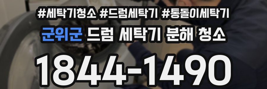 군위군 드럼 세탁기 분해 청소