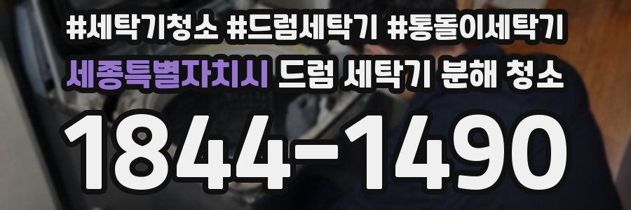 세종특별자치시 드럼 세탁기 분해 청소