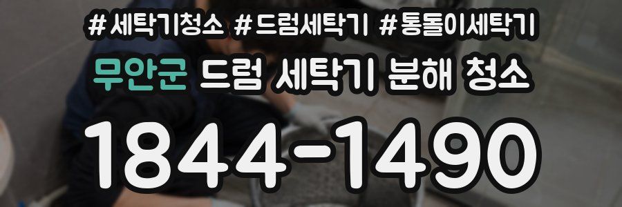 무안군 드럼 세탁기 분해 청소