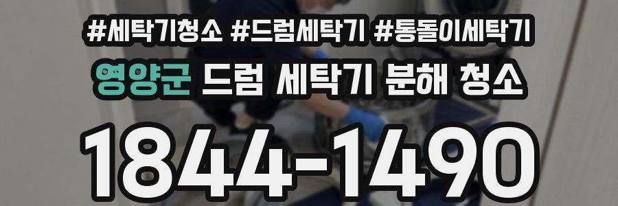 영양군 드럼 세탁기 분해 청소