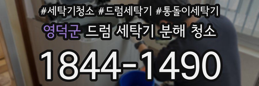영덕군 드럼 세탁기 분해 청소