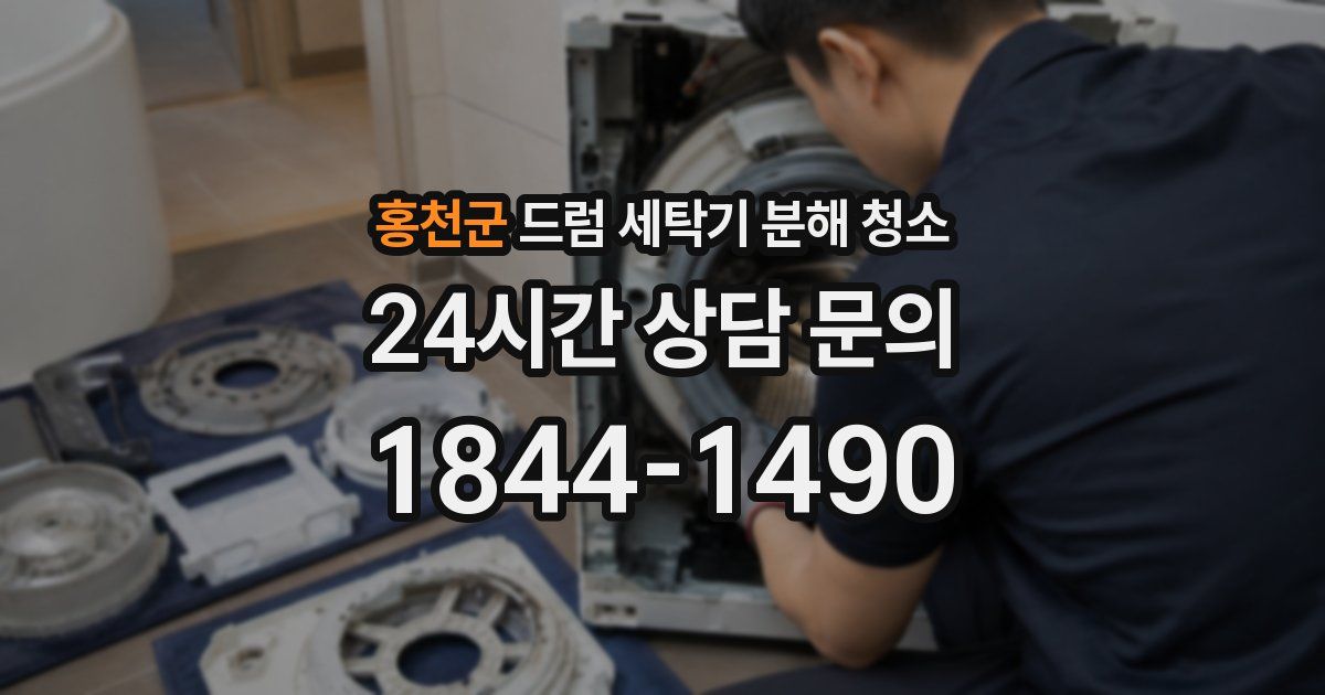 홍천군 드럼 세탁기 분해 청소
