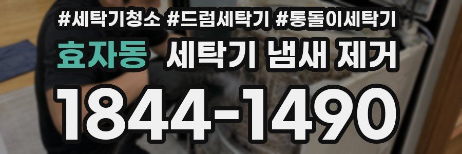 효자동 세탁기 냄새 제거