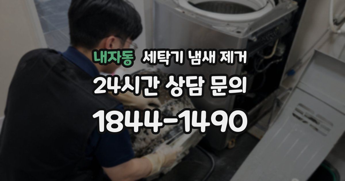 내자동 세탁기 냄새 제거