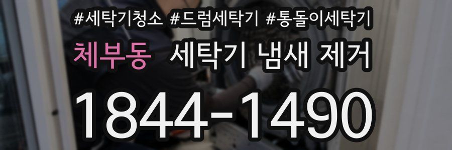 체부동 세탁기 냄새 제거