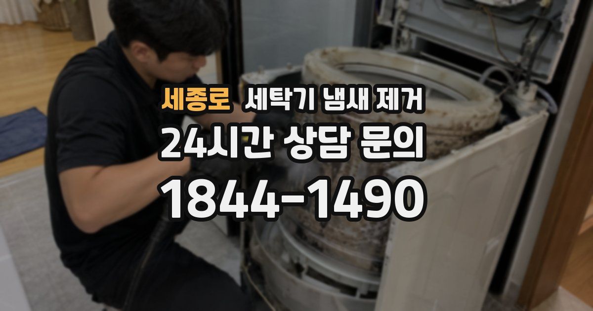 세종로 세탁기 냄새 제거