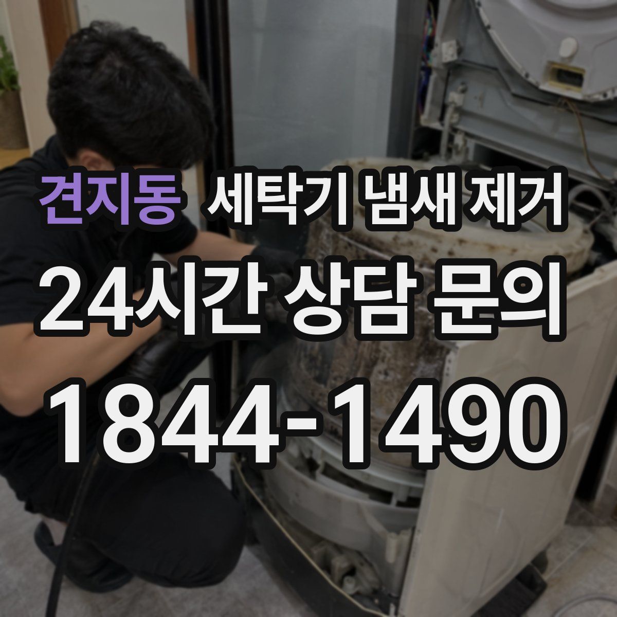 견지동 세탁기 냄새 제거