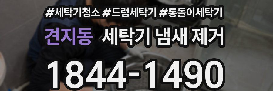 견지동 세탁기 냄새 제거