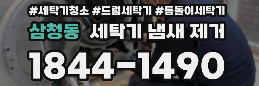 삼청동 세탁기 냄새 제거