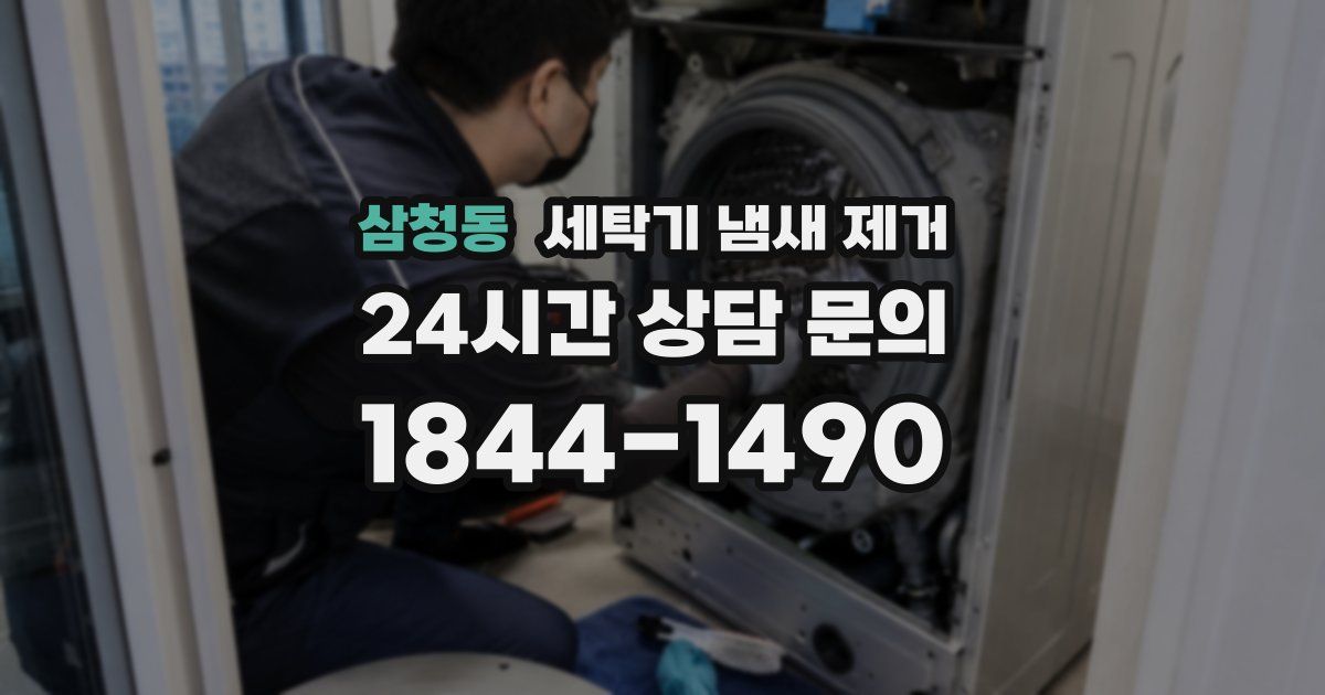 삼청동 세탁기 냄새 제거