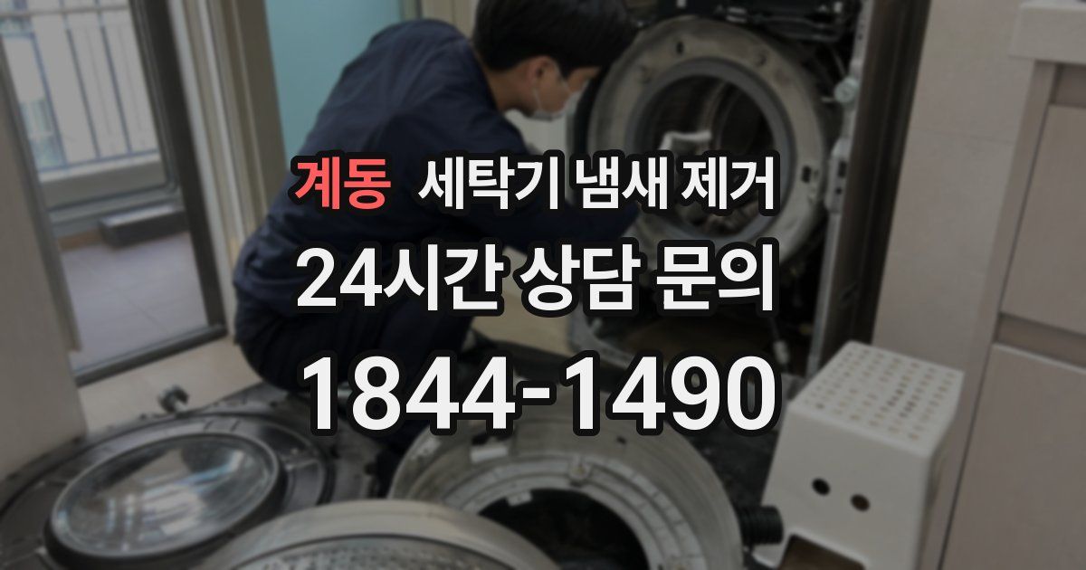 계동 세탁기 냄새 제거